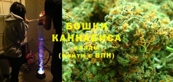 шишки Аркадак