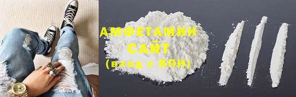 шишки Аркадак