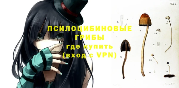 прущие крисы Арсеньев