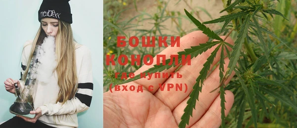 шишки Аркадак