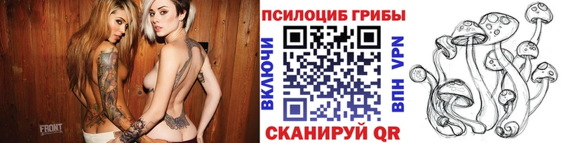 Псилоцибиновые грибы Psilocybe  hydra рабочий сайт  Бирюч 