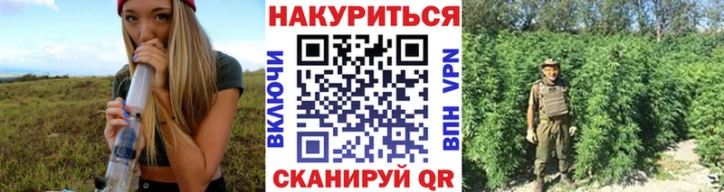 даркнет сайт  Бирюч  ссылка на мегу ONION  Канабис планчик 